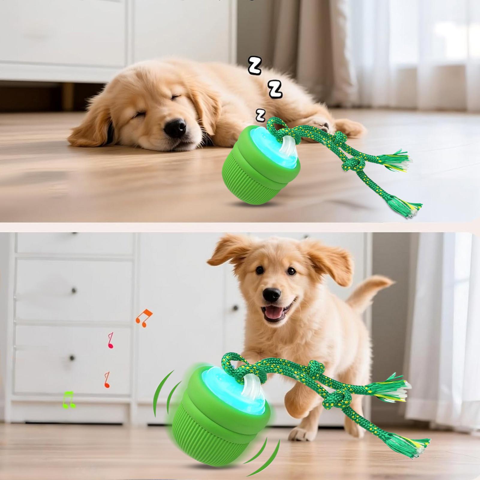 Bola interactiva para perro, b - Automatic Moving Dog Ball reseña y precio