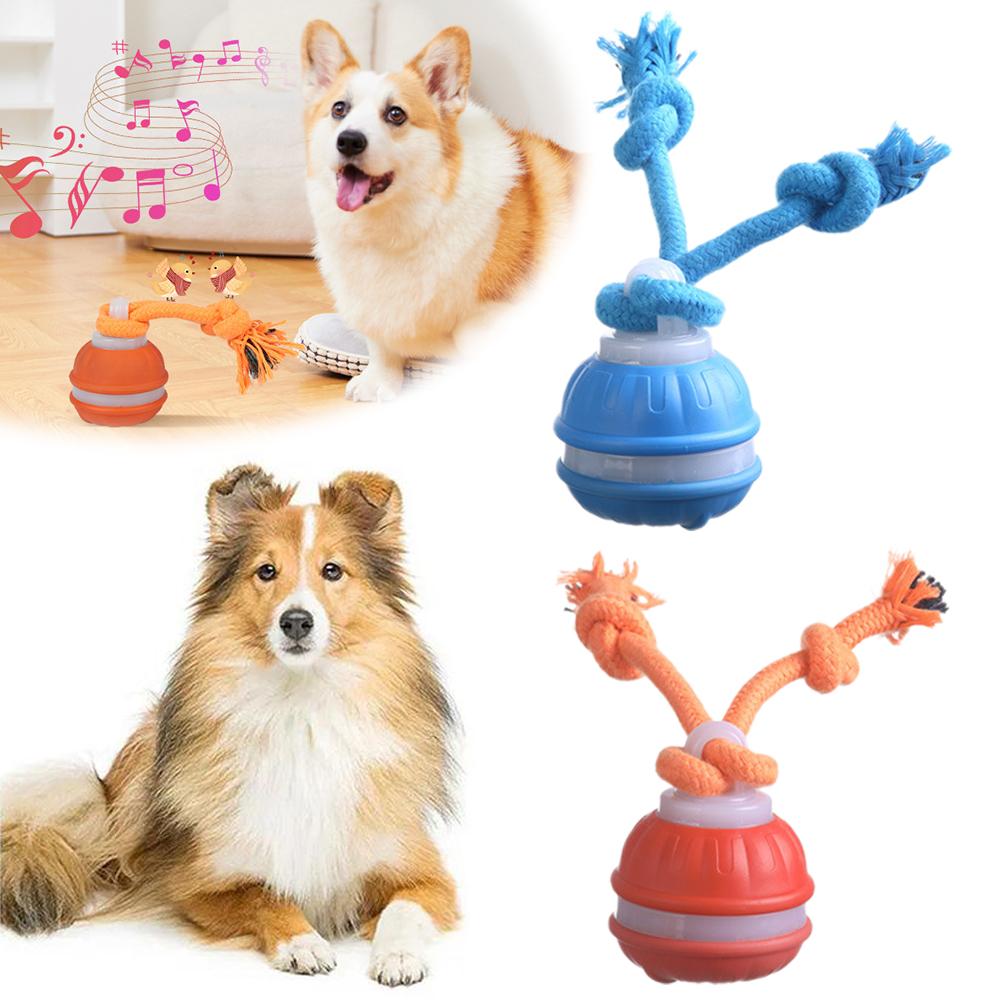 Bola de perro recargable intel - Automatic Moving Dog Ball reseña y precio