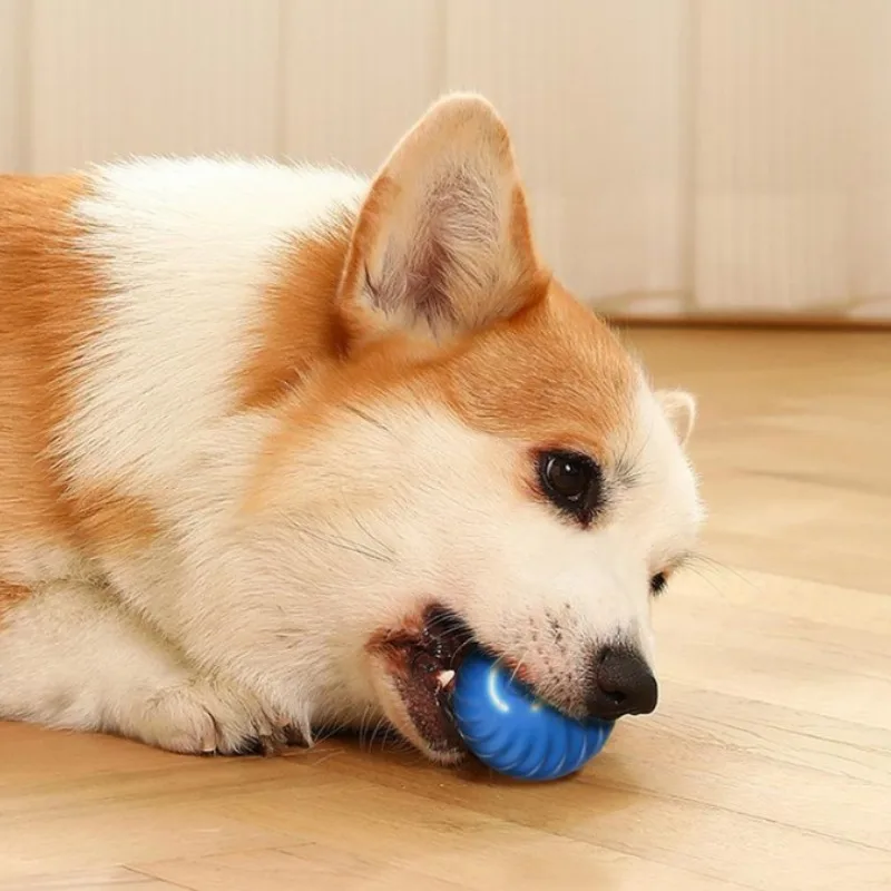 Pelota de Juguete para Mascota - Automatic Moving Dog Ball reseña y precio