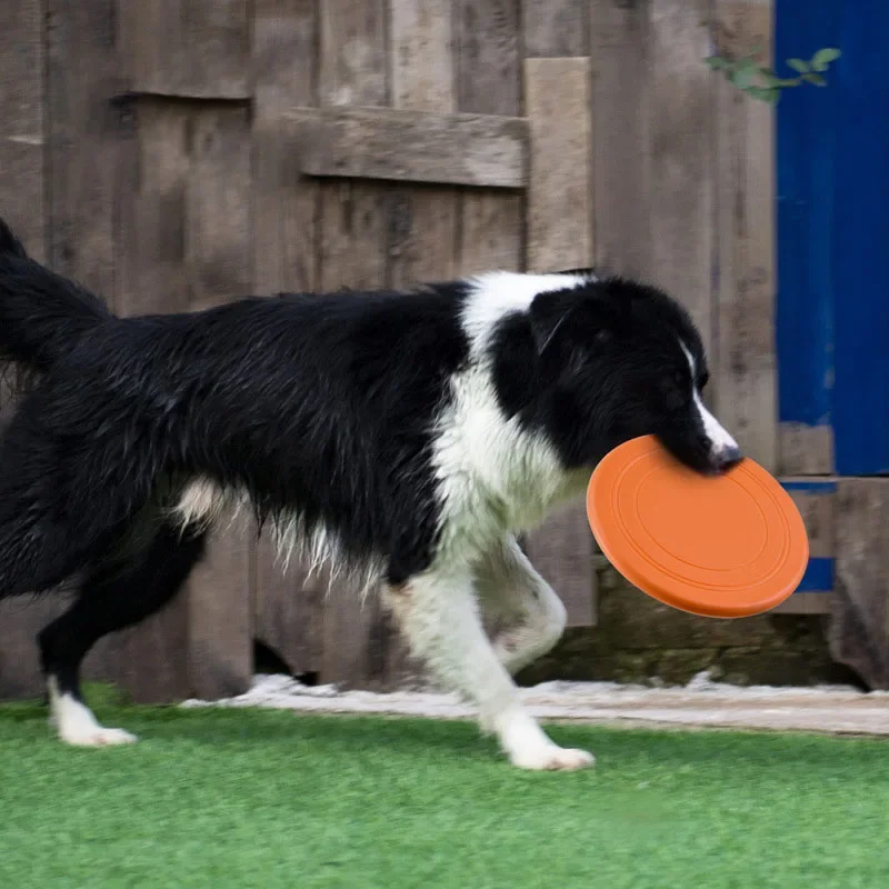 Platillo volador de silicona p - Flying Disc Dog Training Toy reseña y precio