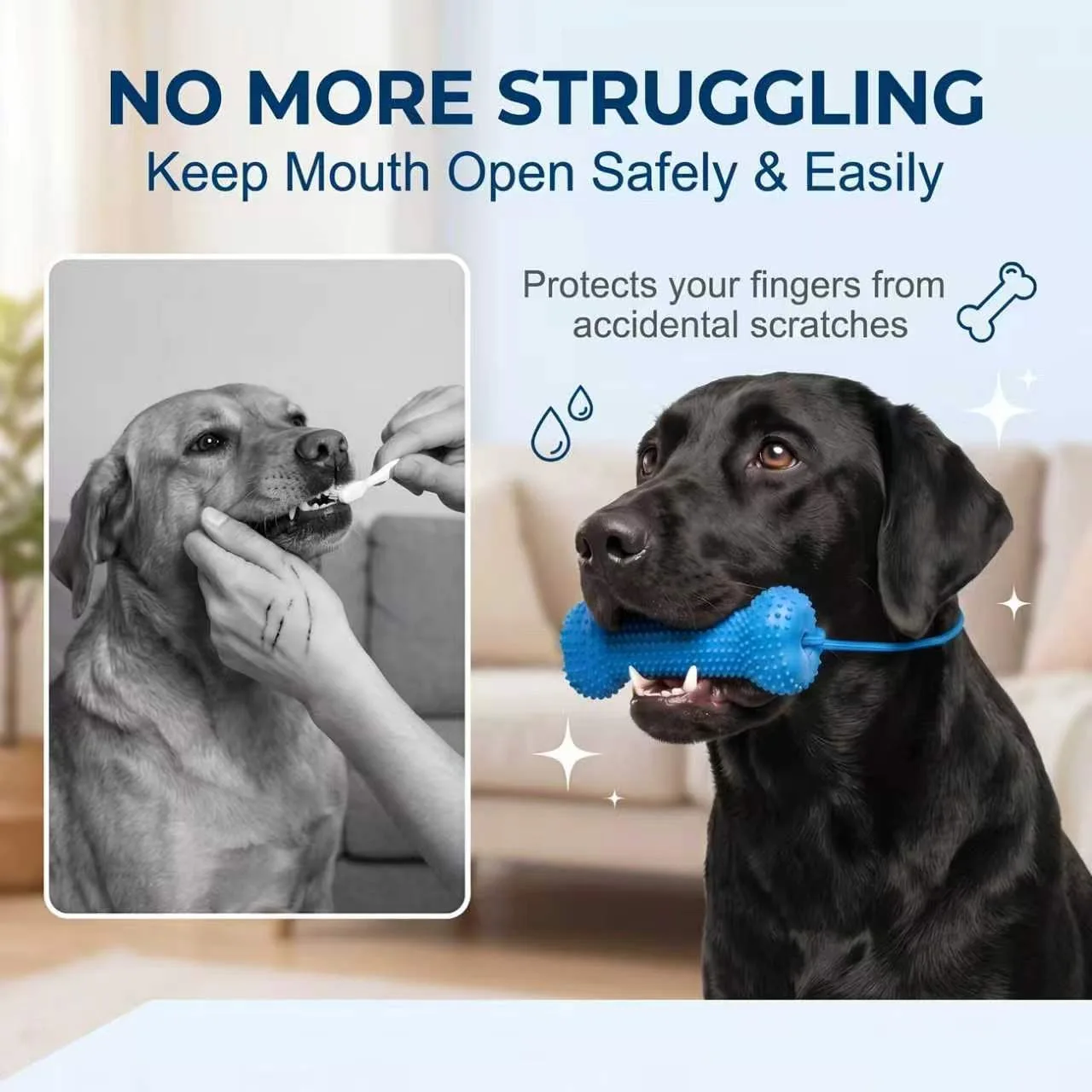Juguete reutilizable para perr - Teeth Cleaning Dog Chew Bone reseña y precio