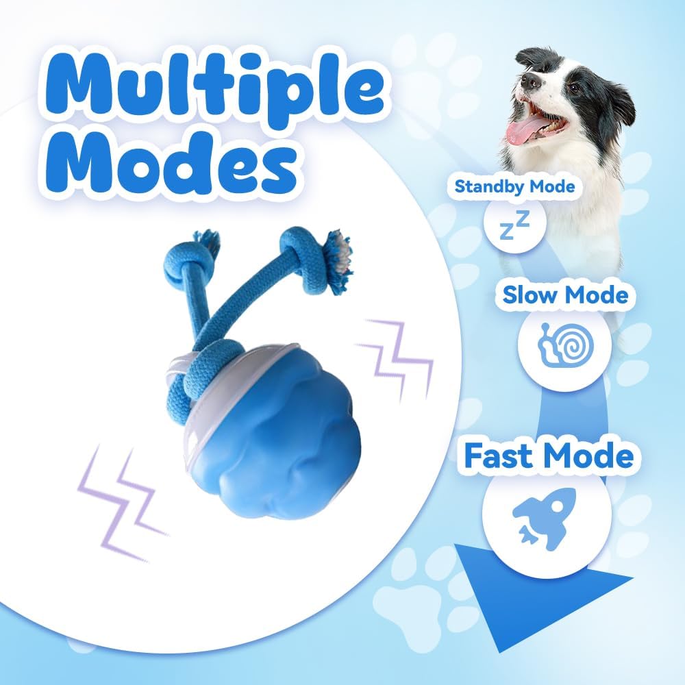 Juguete Inteligente para Perro - Automatic Moving Dog Ball reseña y precio