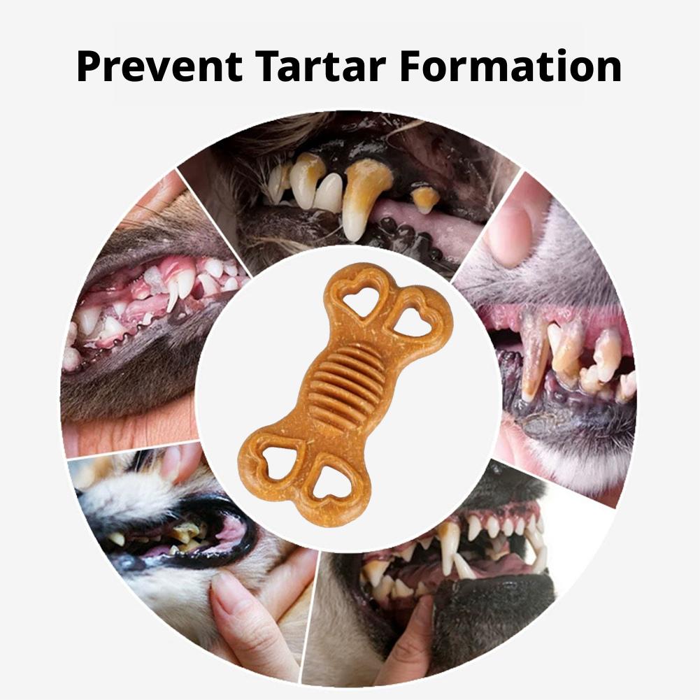 Juguete masticable indestructi - Teeth Cleaning Dog Chew Bone reseña y precio